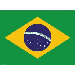 Flagge Brasilien - Tischset aus Papier 44 x 32 cm