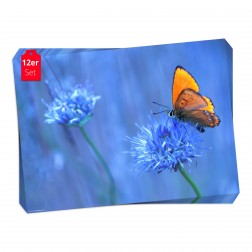 Tischsets | Platzsets - Schmetterlinge "orangener Schmetterling " aus Papier - 44 x 32 cm