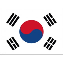 Flagge Südkorea - Tischset aus Papier 44 x 32 cm