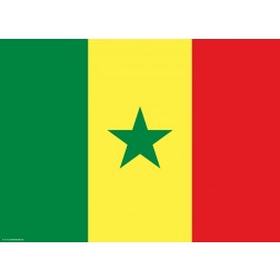 Flagge Senegal - Tischset aus Papier 44 x 32 cm