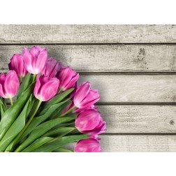 Tulpen pink  - Tischset aus Papier 44 x 32 cm