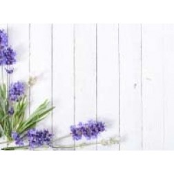 Lavendel auf weißem Holz - Tischset aus Papier 44 x 32 cm