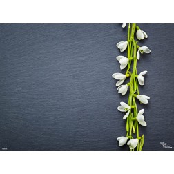 Schneeglöckchenbund - Tischset aus Papier - 44 x 32 cm