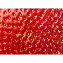 Tischsets | Platzsets - Fruchtig "Erdbeere nah" aus Papier - 44 x 32 cm