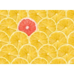 Tischsets | Platzsets - Fruchtig "Zitronen & Grapefruit" aus Papier - 44 x 32 cm