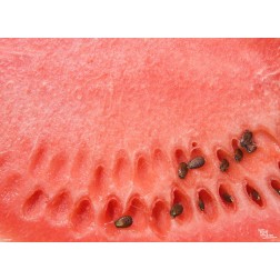 Tischset | Platzset - Wassermelone - aus Papier - 44 x 32 cm