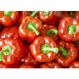 Tischsets | Platzsets - Food "rote Paprika" aus Papier - 44 x 32 cm