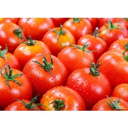 Tischsets | Platzsets - Food "Tomaten" aus Papier - 44 x 32 cm