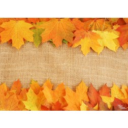 Tischsets | Platzsets - Farbenfrohe Herbstblätter aus Papier - 44 x 32 cm